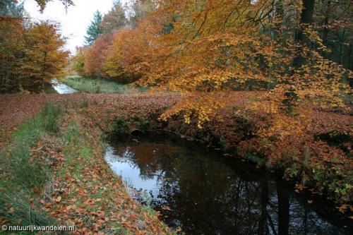 duurwoudsterheide_04